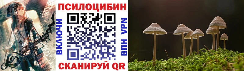 hydra зеркало  что такое наркотик  Тихвин  Галлюциногенные грибы MAGIC MUSHROOMS 
