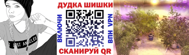 МАРИХУАНА семена  купить наркотик  Тихвин 